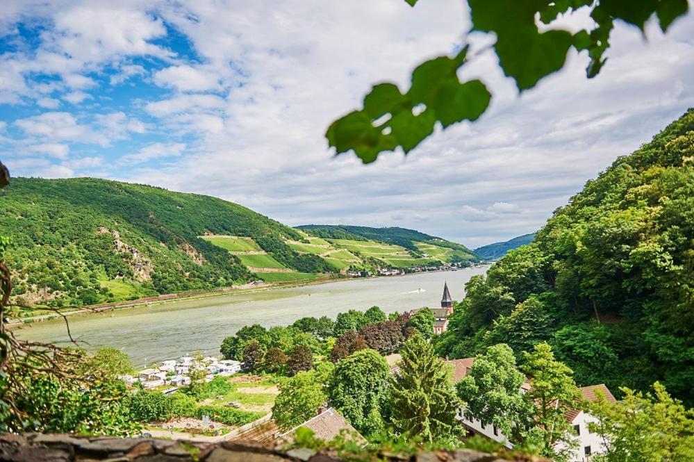 Hotel Winzerhof Ross & Rose Trechtingshausen Zewnętrze zdjęcie