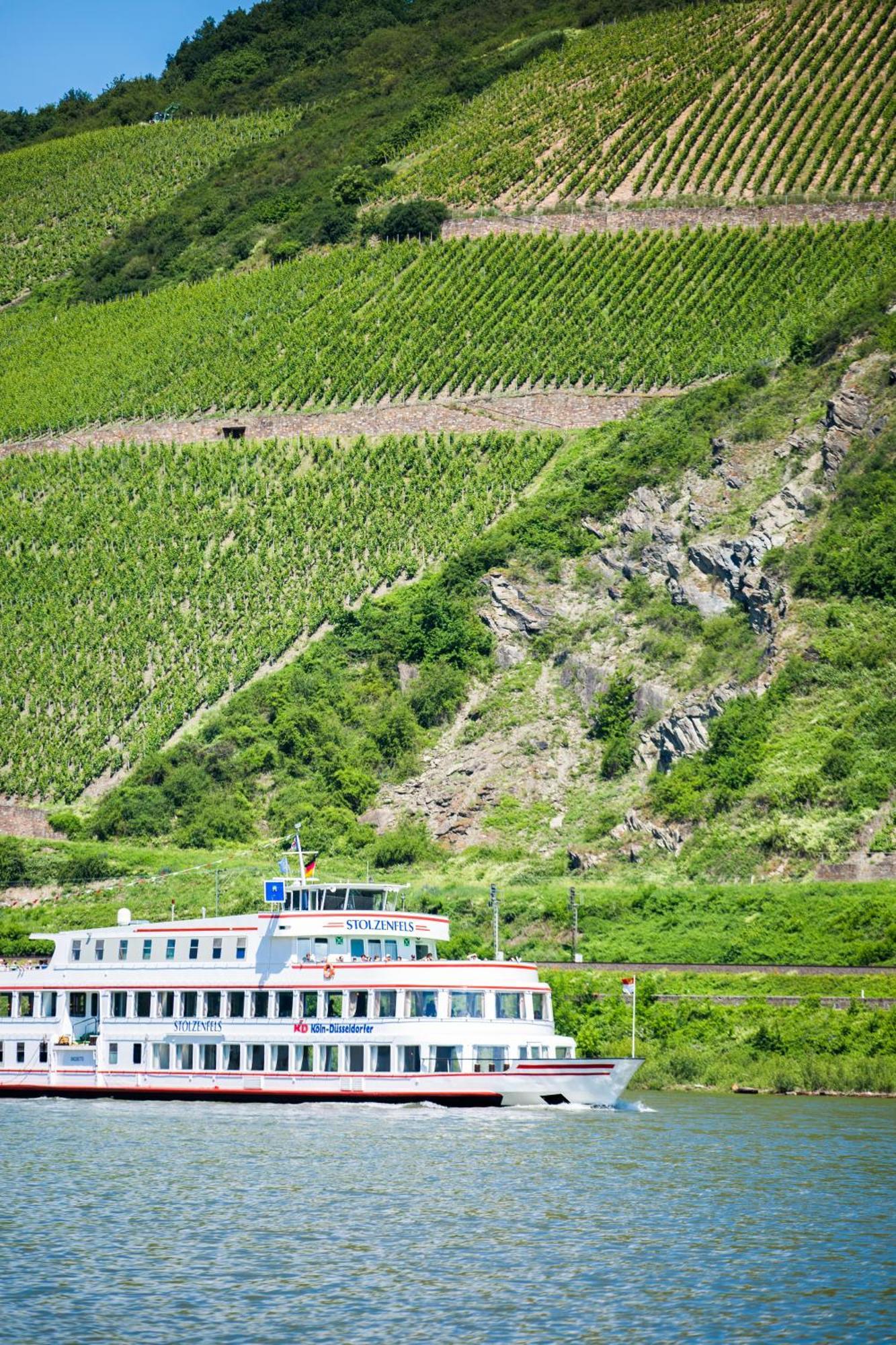 Hotel Winzerhof Ross & Rose Trechtingshausen Zewnętrze zdjęcie