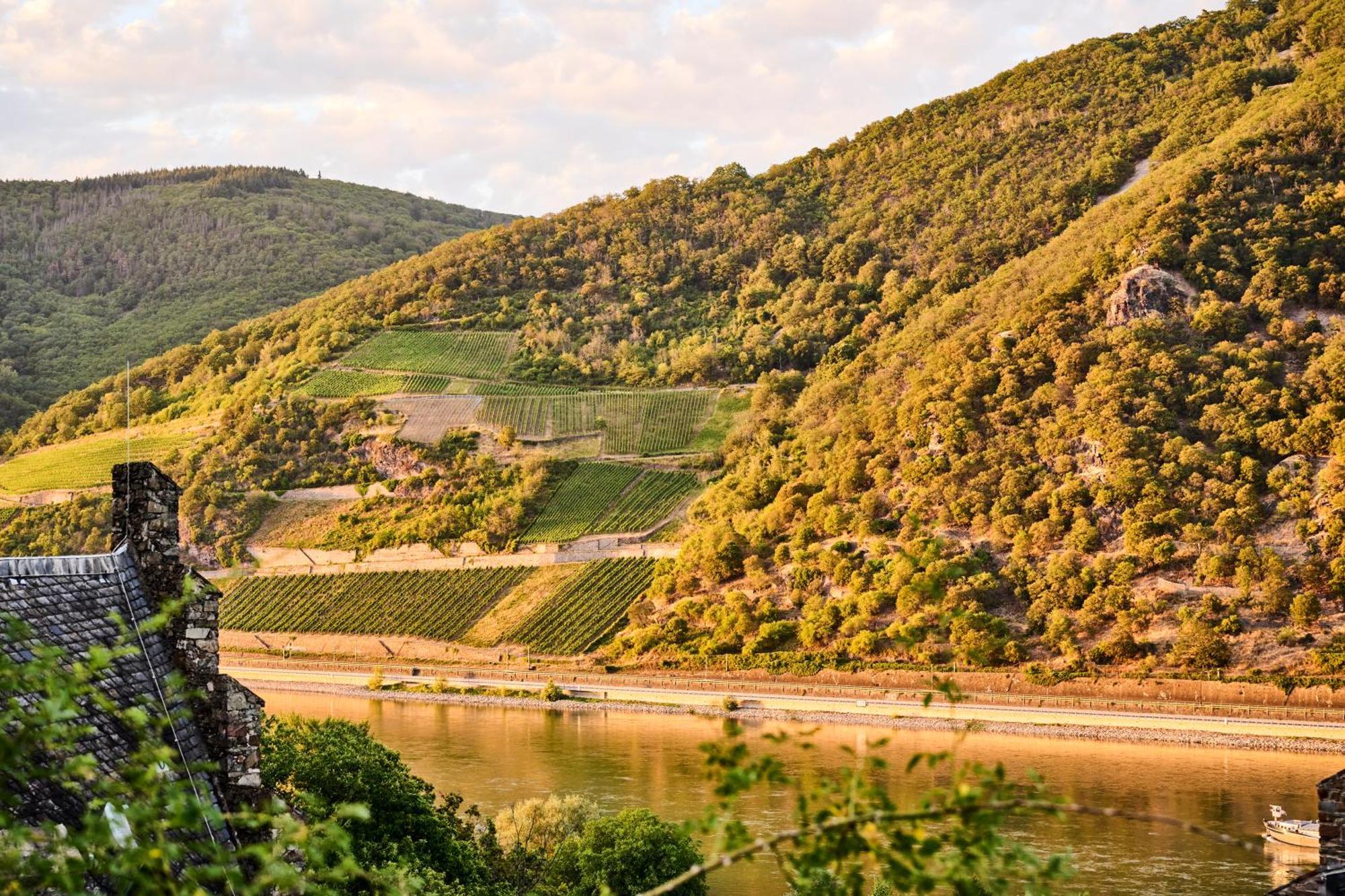 Hotel Winzerhof Ross & Rose Trechtingshausen Zewnętrze zdjęcie